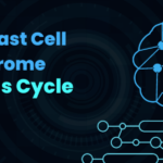 How Mold and Mast Cell Activation Syndrome Create a Vicious Loop